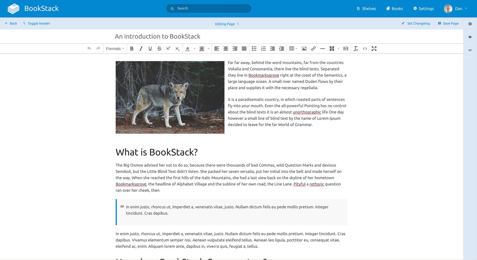 BookStack-Editor – Texte formatieren wie in Word, Bilder per Copy-Paste einfügen